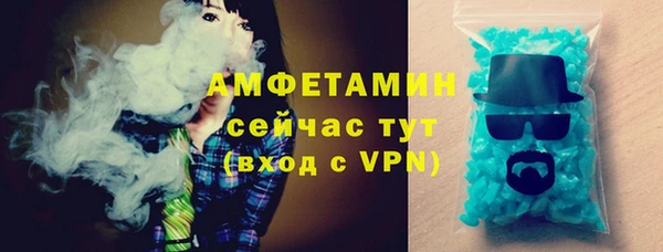 шишки Аркадак