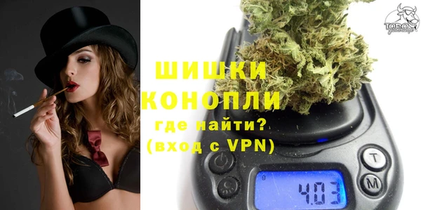шишки Аркадак